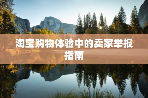 淘宝购物体验中的卖家举报指南