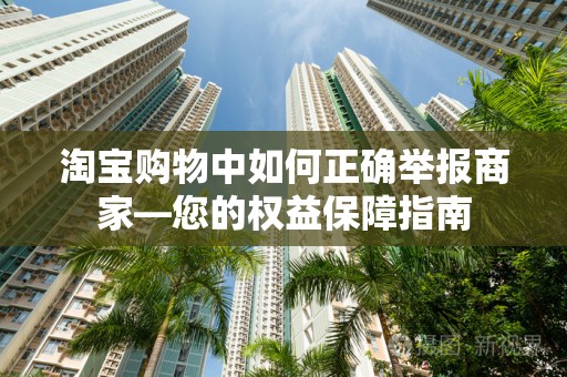 淘宝购物中如何正确举报商家—您的权益保障指南