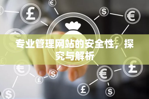 专业管理网站的安全性，探究与解析
