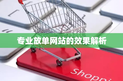 专业放单网站的效果解析