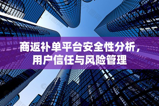 商返补单平台安全性分析，用户信任与风险管理