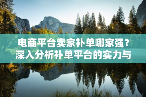 电商平台卖家补单哪家强？深入分析补单平台的实力与服务