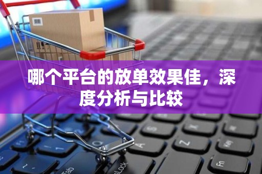 哪个平台的放单效果佳，深度分析与比较