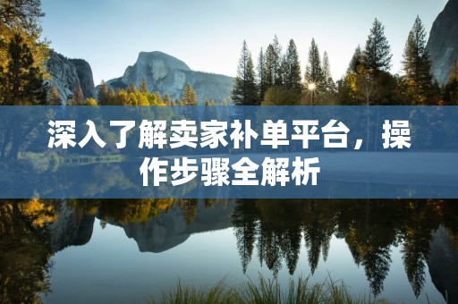 深入了解卖家补单平台，操作步骤全解析