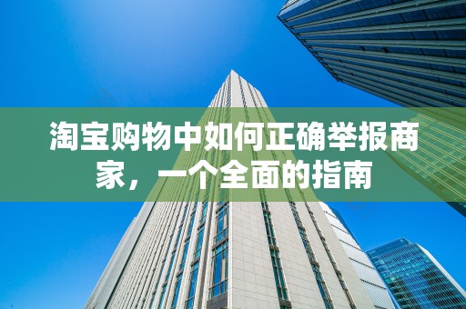 淘宝购物中如何正确举报商家，一个全面的指南