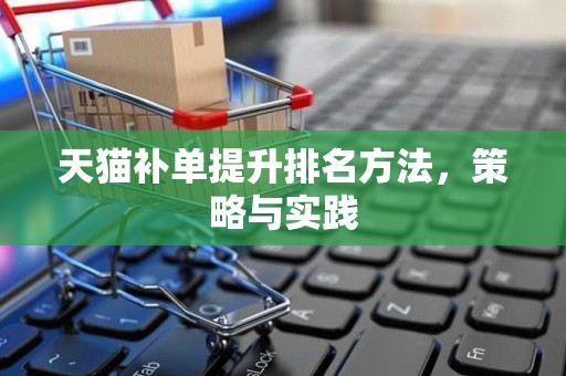 天猫补单提升排名方法，策略与实践