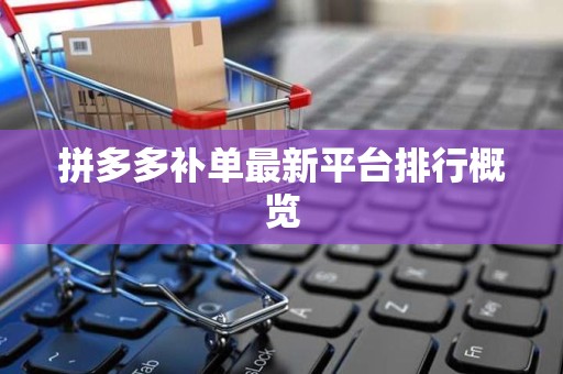 拼多多补单最新平台排行概览