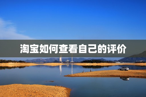 淘宝如何查看自己的评价