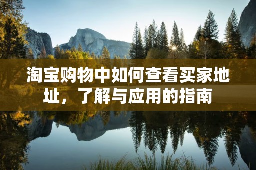 淘宝购物中如何查看买家地址，了解与应用的指南