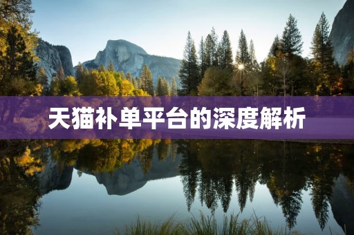 天猫补单平台的深度解析