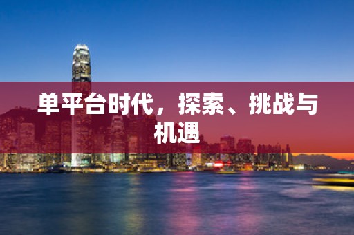 单平台时代，探索、挑战与机遇