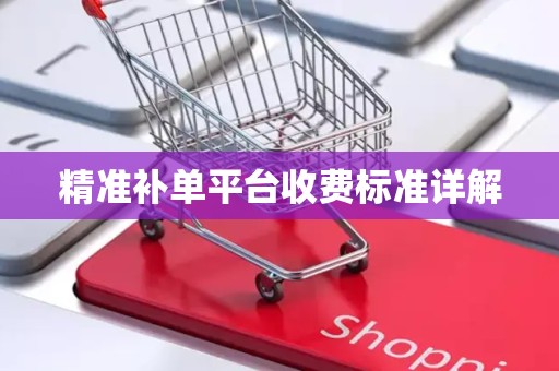 精准补单平台收费标准详解