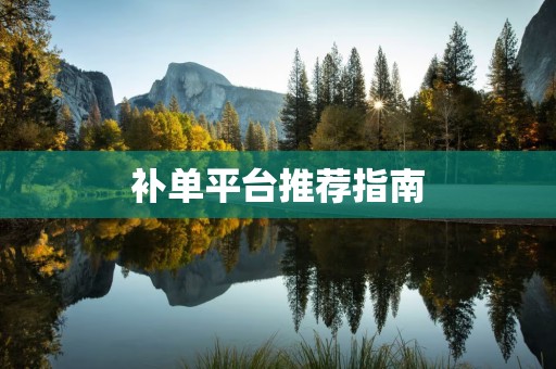 补单平台推荐指南
