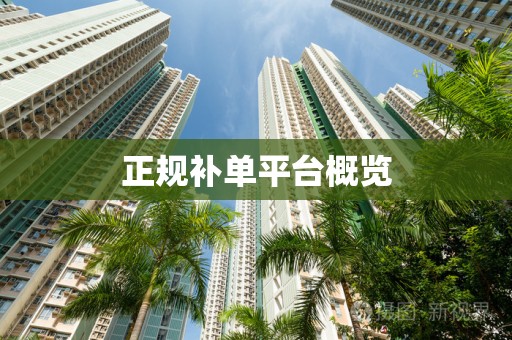 正规补单平台概览