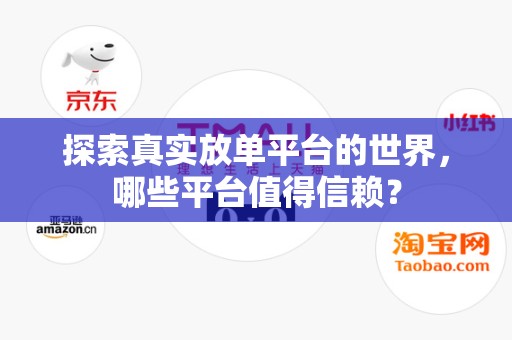 探索真实放单平台的世界，哪些平台值得信赖？