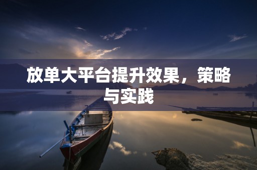 放单大平台提升效果，策略与实践