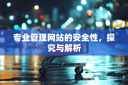 专业管理网站的安全性，探究与解析