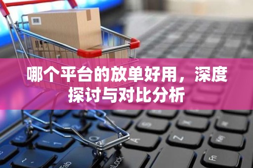 哪个平台的放单好用，深度探讨与对比分析