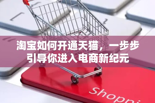 淘宝如何开通天猫，一步步引导你进入电商新纪元
