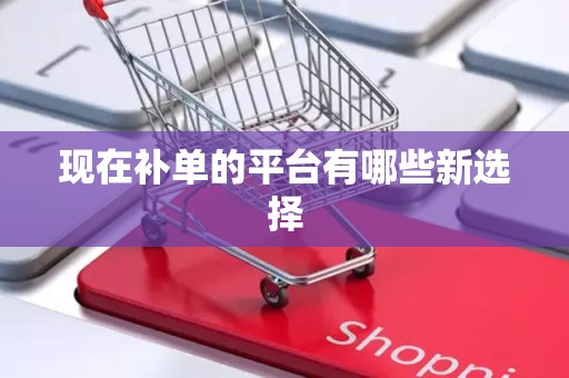 现在补单的平台有哪些新选择