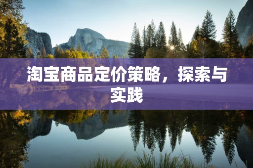 淘宝商品定价策略，探索与实践