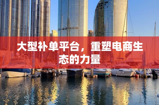 大型补单平台，重塑电商生态的力量