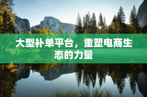 大型补单平台，重塑电商生态的力量