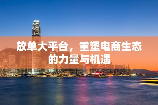 放单大平台，重塑电商生态的力量与机遇
