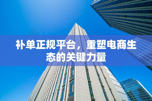 补单正规平台，重塑电商生态的关键力量