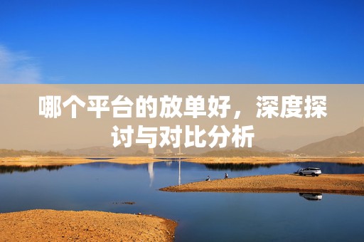 哪个平台的放单好，深度探讨与对比分析