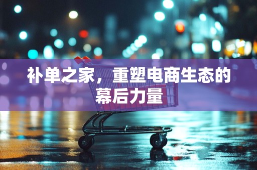 补单之家，重塑电商生态的幕后力量