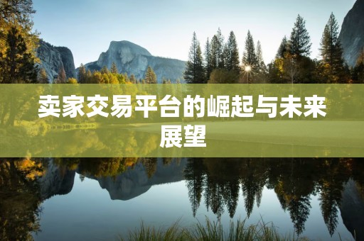 卖家交易平台的崛起与未来展望