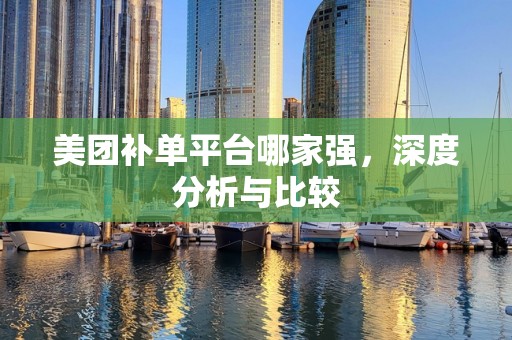 美团补单平台哪家强，深度分析与比较