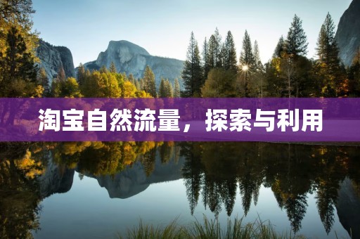 淘宝自然流量，探索与利用