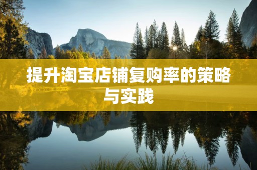 提升淘宝店铺复购率的策略与实践