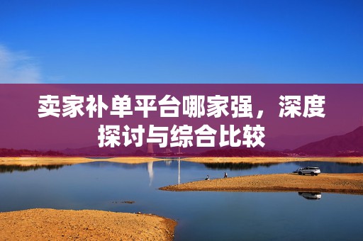 卖家补单平台哪家强，深度探讨与综合比较