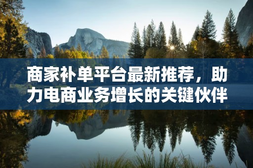 商家补单平台最新推荐，助力电商业务增长的关键伙伴