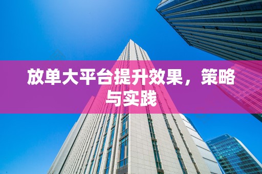 放单大平台提升效果，策略与实践