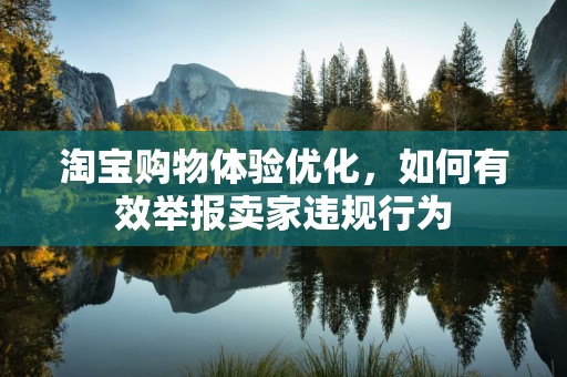淘宝购物体验优化，如何有效举报卖家违规行为