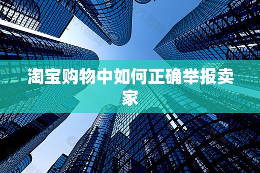 淘宝购物中如何正确举报卖家