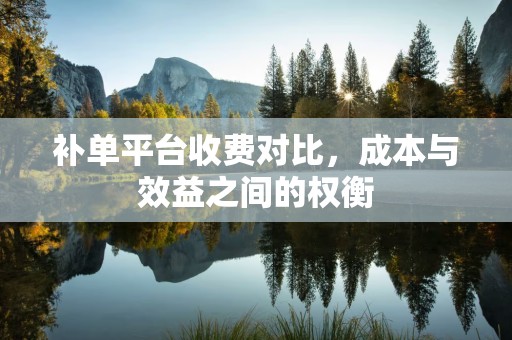 补单平台收费对比，成本与效益之间的权衡