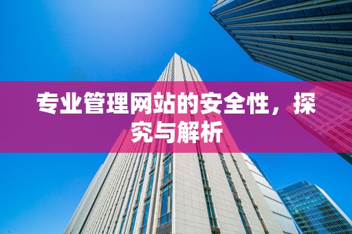 专业管理网站的安全性，探究与解析