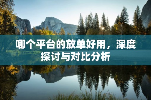 哪个平台的放单好用，深度探讨与对比分析