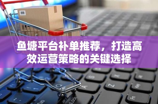 鱼塘平台补单推荐，打造高效运营策略的关键选择