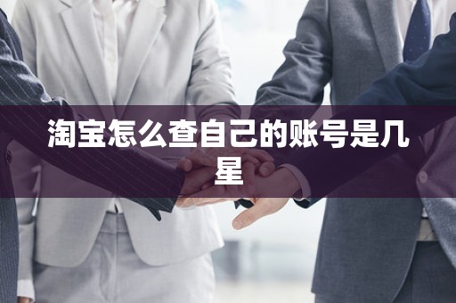 淘宝怎么查自己的账号是几星