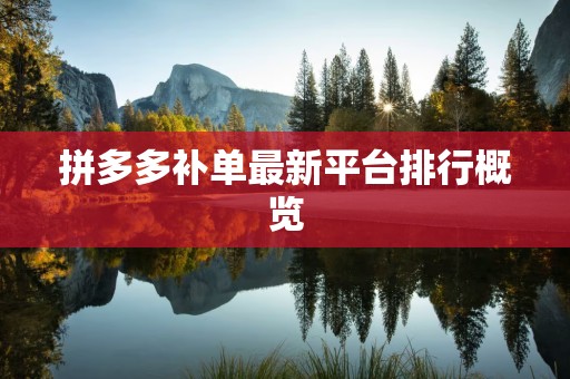 拼多多补单最新平台排行概览