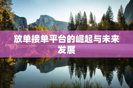 放单接单平台的崛起与未来发展