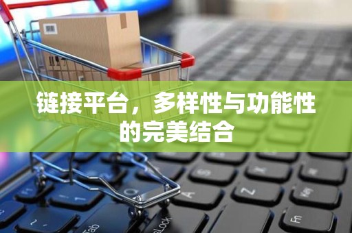 链接平台，多样性与功能性的完美结合