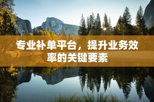 专业补单平台，提升业务效率的关键要素