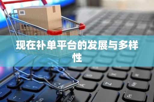 现在补单平台的发展与多样性